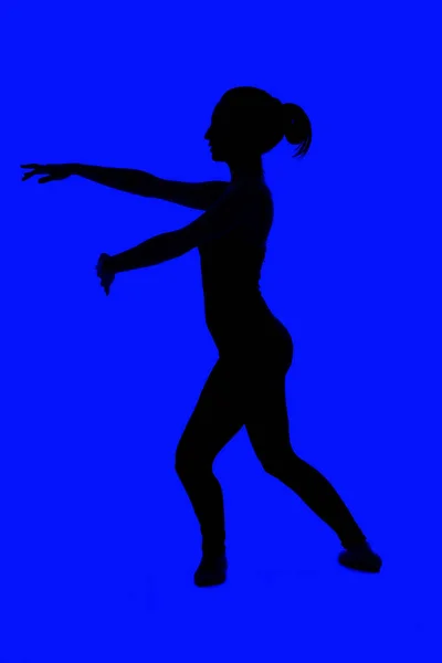 Pefil Und Silhouette Einer Jungen Ballerina — Stockfoto