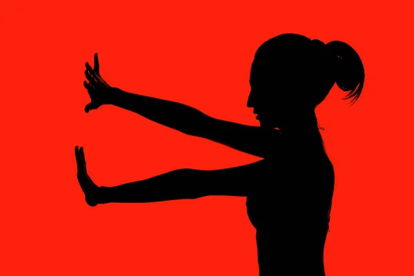 Pefil Silhouette Una Giovane Ballerina — Foto Stock