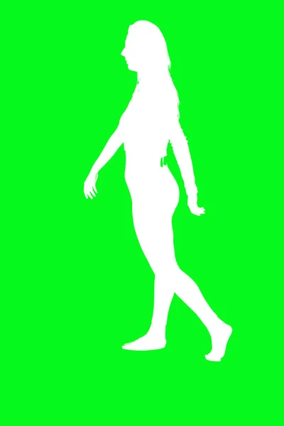 Figures Silhouettes Model — Stock Photo, Image