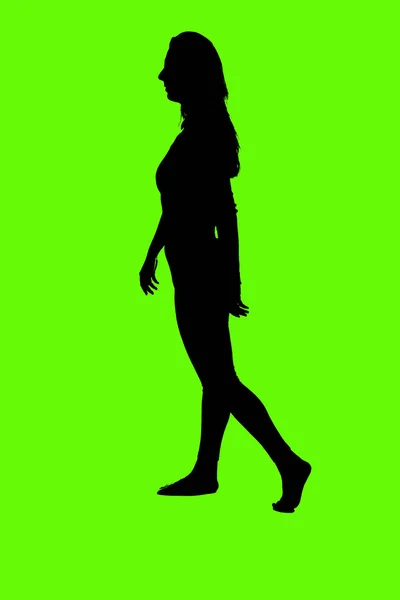 Figuren Silhouetten Van Een Model — Stockfoto