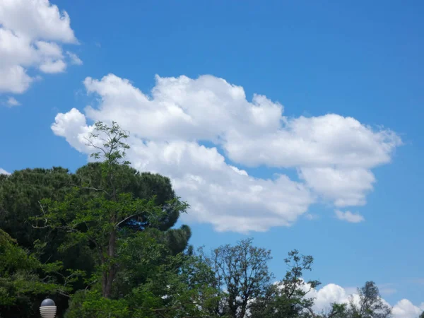 Clouds Blue Sky Spring Season Mediterranean Zone — Stock Photo, Image