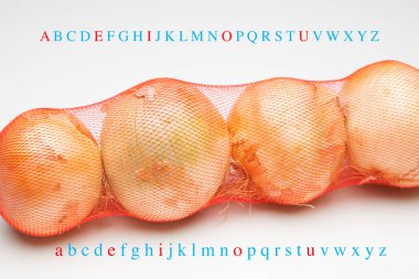 Soğan, mutfakta önemli bir çeşni, lezzet ve doku hem de birçok özelliği ile.