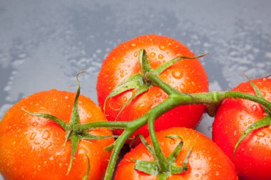 kırmızı domates, vitamin ve sağlık dolu, salatalar için ideal, meyve suları, reçeller, sfritos, mutfakta bir madde olarak, Akdeniz mutfağında bin farklı kullanır