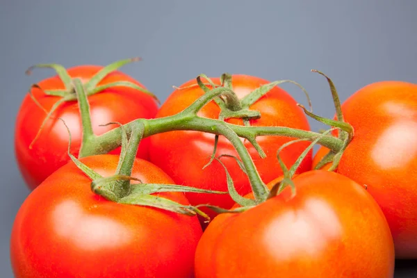 Rote Tomate Voller Vitamine Und Gesundheit Ideal Für Salate Säfte — Stockfoto