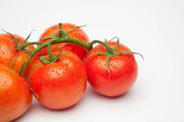 Czerwony Pomidor Pełen Witamin Zdrowia Idealny Sałatek Soków Dżemów Sfritos — Zdjęcie stockowe