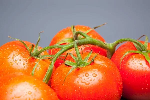 Rote Tomate Voller Vitamine Und Gesundheit Ideal Für Salate Säfte — Stockfoto