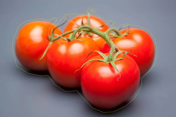 Tomate Rouge Pleine Vitamines Santé Idéal Pour Les Salades Jus — Photo