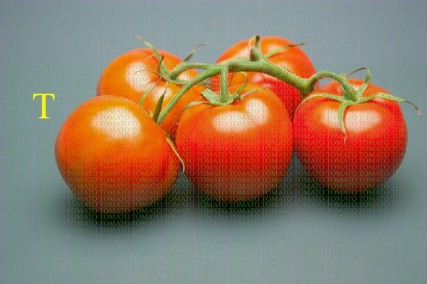 Rote Tomate Voller Vitamine Und Gesundheit Ideal Für Salate Säfte — Stockfoto