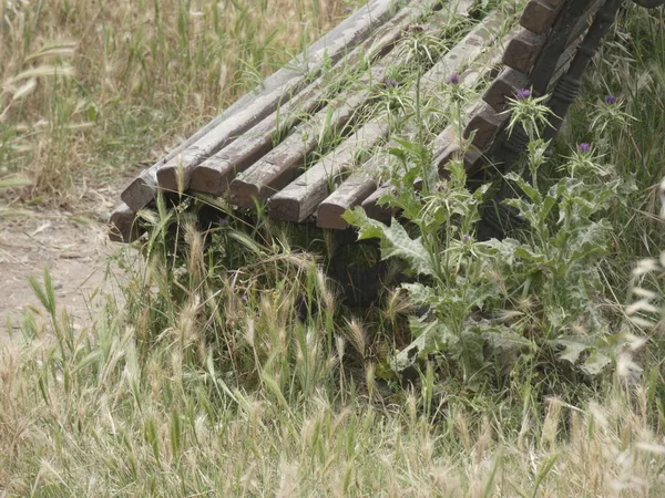 Bank Voor Rest Van Het Verlaten Personeel Het Midden Van — Stockfoto