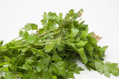 Maydanoz yaygın bir baharat veya yemek tarifleri çeşitli giyinme olarak mutfakta kullanılan bir bitkidir.