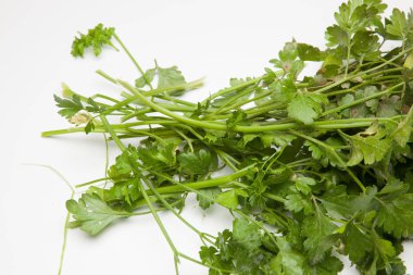 Maydanoz yaygın bir baharat veya yemek tarifleri çeşitli giyinme olarak mutfakta kullanılan bir bitkidir.