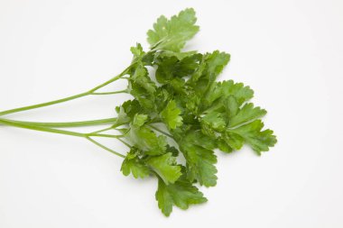 Maydanoz yaygın bir baharat veya yemek tarifleri çeşitli giyinme olarak mutfakta kullanılan bir bitkidir.