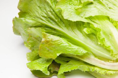 Doğrudan tüketiciye giden tarladan taze olarak alınan marul.