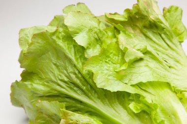 Doğrudan tüketiciye giden tarladan taze olarak alınan marul.