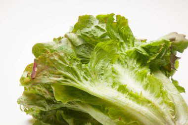 Doğrudan tüketiciye giden tarladan taze olarak alınan marul.