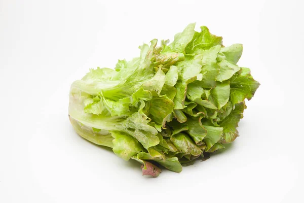 Lettuce Freshly Picked Field Goes Directly Consumer — Stock Photo, Image