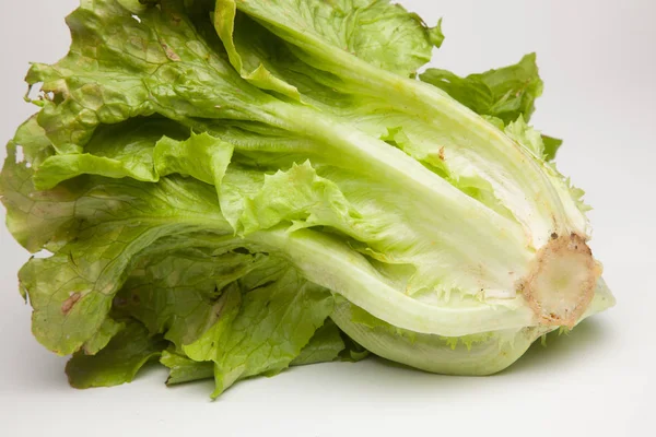 Lechuga Recién Recogida Del Campo Que Directamente Consumidor — Foto de Stock