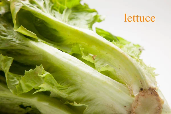 Salat Frisch Vom Feld Gepflückt Der Direkt Den Verbraucher Geht — Stockfoto