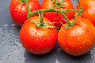 Domates kırmızı ve taze, doğrudan masaya gitmek için bahçeden getirilen, biz salata veya meyve olarak, vitamin ve antioksidanlar açısından zengin çiğ yiyebilirsiniz. domates ile biz meyve suları, reçeller, soslar, tavada yapabilirsiniz, biz et ile doldurabilir ve yapmak 