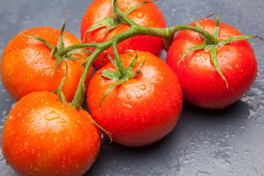 Domates kırmızı ve taze, doğrudan masaya gitmek için bahçeden getirilen, biz salata veya meyve olarak, vitamin ve antioksidanlar açısından zengin çiğ yiyebilirsiniz. domates ile biz meyve suları, reçeller, soslar, tavada yapabilirsiniz, biz et ile doldurabilir ve yapmak 