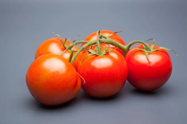 Tomate Rot Und Frisch Aus Dem Garten Direkt Auf Den — Stockfoto