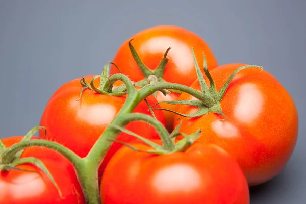 Tomate Rot Und Frisch Aus Dem Garten Direkt Auf Den — Stockfoto
