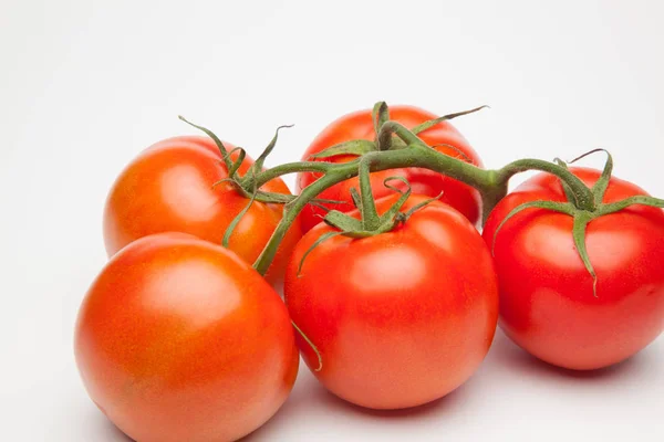 Tomate Rot Und Frisch Aus Dem Garten Direkt Auf Den — Stockfoto