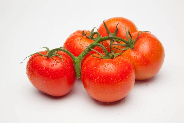 Tomate Rojo Fresco Traído Del Jardín Para Directamente Mesa Podemos — Foto de Stock