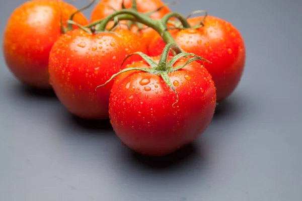 Tomate Rojo Fresco Traído Del Jardín Para Directamente Mesa Podemos — Foto de Stock