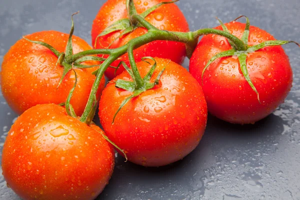 Domates kırmızı ve taze, doğrudan masaya gitmek için bahçeden getirilen, biz salata veya meyve olarak, vitamin ve antioksidanlar açısından zengin çiğ yiyebilirsiniz. domates ile biz meyve suları, reçeller, soslar, tavada yapabilirsiniz, biz et ile doldurabilir ve yapmak 