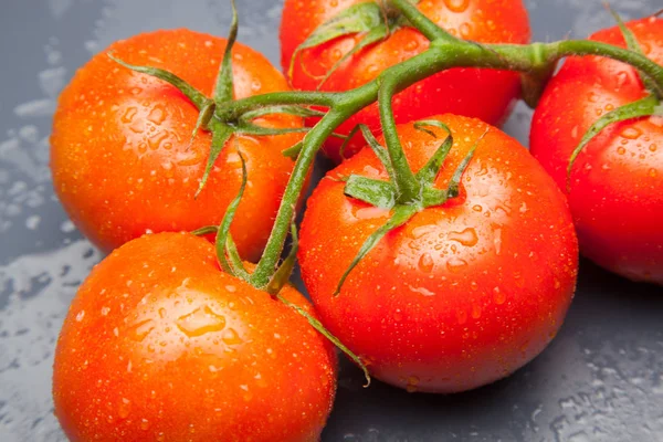 Domates kırmızı ve taze, doğrudan masaya gitmek için bahçeden getirilen, biz salata veya meyve olarak, vitamin ve antioksidanlar açısından zengin çiğ yiyebilirsiniz. domates ile biz meyve suları, reçeller, soslar, tavada yapabilirsiniz, biz et ile doldurabilir ve yapmak 