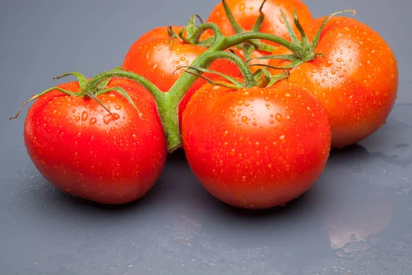 Domates kırmızı ve taze, doğrudan masaya gitmek için bahçeden getirilen, biz salata veya meyve olarak, vitamin ve antioksidanlar açısından zengin çiğ yiyebilirsiniz. domates ile biz meyve suları, reçeller, soslar, tavada yapabilirsiniz, biz et ile doldurabilir ve yapmak 