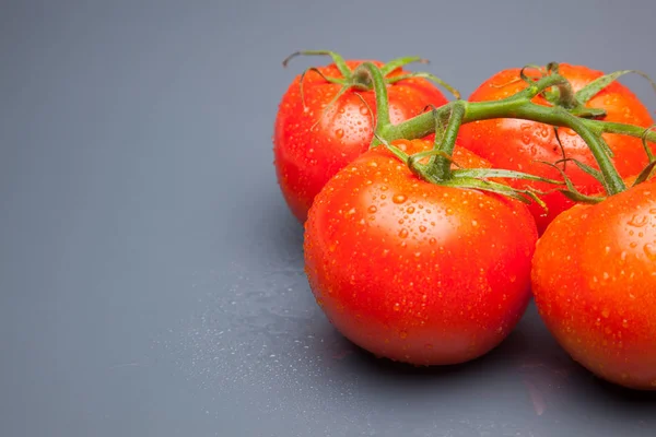 Tomate Vermelho Fresco Trazido Jardim Para Direto Para Mesa Podemos — Fotografia de Stock