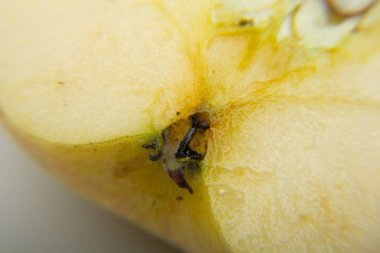 Biz kahvaltıda hem de öğle, aperatif ve akşam yemeğinde tatlı için elma çiğ yiyebilirsiniz. Biz komposto, meyve suları yapabilirsiniz elma itibaren, pasta ve röportaj gibi eşlik olarak tuzlu pişirme hem de kullanılır, kek vb ...