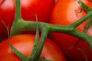 Taze domatesyakın çekim ve taze bahçeden aldı, çiğ yenmesi için hazırlanan, salata veya pişmiş olmak. Soslar, tavada kızartmalar, reçeller ve meyve suları yapabiliriz, onları doldurabilir, kızartabiliriz..