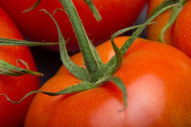 Taze domatesyakın çekim ve taze bahçeden aldı, çiğ yenmesi için hazırlanan, salata veya pişmiş olmak. Soslar, tavada kızartmalar, reçeller ve meyve suları yapabiliriz, onları doldurabilir, kızartabiliriz..