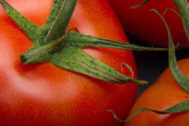 Taze domatesyakın çekim ve taze bahçeden aldı, çiğ yenmesi için hazırlanan, salata veya pişmiş olmak. Soslar, tavada kızartmalar, reçeller ve meyve suları yapabiliriz, onları doldurabilir, kızartabiliriz..