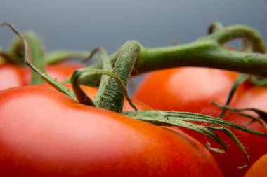 Taze domatesyakın çekim ve taze bahçeden aldı, çiğ yenmesi için hazırlanan, salata veya pişmiş olmak. Soslar, tavada kızartmalar, reçeller ve meyve suları yapabiliriz, onları doldurabilir, kızartabiliriz..