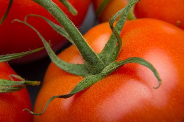 Taze domatesyakın çekim ve taze bahçeden aldı, çiğ yenmesi için hazırlanan, salata veya pişmiş olmak. Soslar, tavada kızartmalar, reçeller ve meyve suları yapabiliriz, onları doldurabilir, kızartabiliriz..