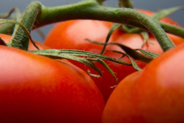 Taze domatesyakın çekim ve taze bahçeden aldı, çiğ yenmesi için hazırlanan, salata veya pişmiş olmak. Soslar, tavada kızartmalar, reçeller ve meyve suları yapabiliriz, onları doldurabilir, kızartabiliriz..