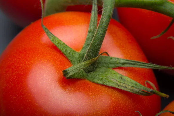 Taze domatesyakın çekim ve taze bahçeden aldı, çiğ yenmesi için hazırlanan, salata veya pişmiş olmak. Soslar, tavada kızartmalar, reçeller ve meyve suları yapabiliriz, onları doldurabilir, kızartabiliriz..