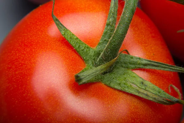 Nahaufnahme Von Frischen Tomaten Und Frisch Gepflückt Aus Dem Garten — Stockfoto