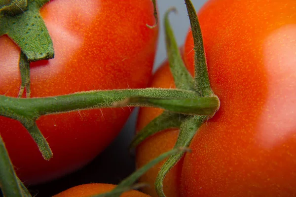 Nahaufnahme Von Frischen Tomaten Und Frisch Gepflückt Aus Dem Garten — Stockfoto