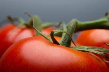 Taze domatesyakın çekim ve taze bahçeden aldı, çiğ yenmesi için hazırlanan, salata veya pişmiş olmak. Soslar, tavada kızartmalar, reçeller ve meyve suları yapabiliriz, onları doldurabilir, kızartabiliriz..