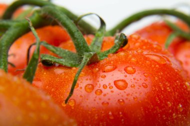 Taze domatesyakın çekim ve taze bahçeden aldı, çiğ yenmesi için hazırlanan, salata veya pişmiş olmak. Soslar, tavada kızartmalar, reçeller ve meyve suları yapabiliriz, onları doldurabilir, kızartabiliriz..
