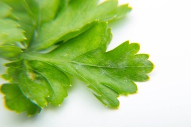 Maydanoz yeşil yenilebilir bir bitkidir, pişirme de kullanılan vitaminler açısından zengin