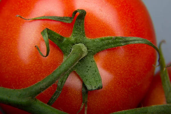 Nahaufnahme Von Frischen Tomaten Und Frisch Gepflückt Aus Dem Garten — Stockfoto