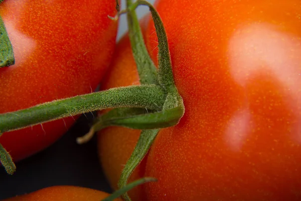 Nahaufnahme Von Frischen Tomaten Und Frisch Gepflückt Aus Dem Garten — Stockfoto