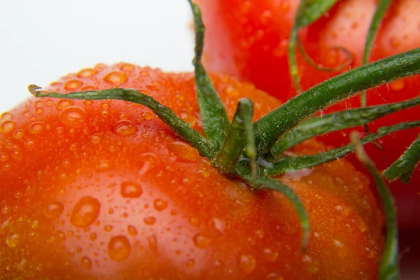 Nahaufnahme Von Frischen Tomaten Und Frisch Gepflückt Aus Dem Garten — Stockfoto