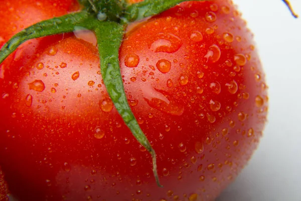 Nahaufnahme Von Frischen Tomaten Und Frisch Gepflückt Aus Dem Garten — Stockfoto